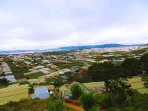 Da Lat grows a ton of stuff - from strawberries to avocados to flowers, grapes, coffee, and tea!